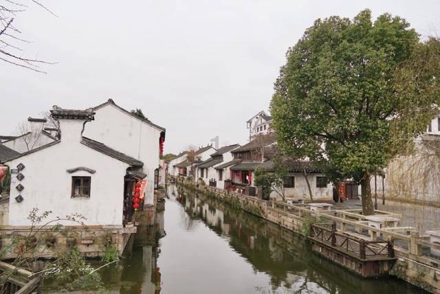 牛奶中的防腐剂真相:是毒还是药?3种“牛奶”要慎饮